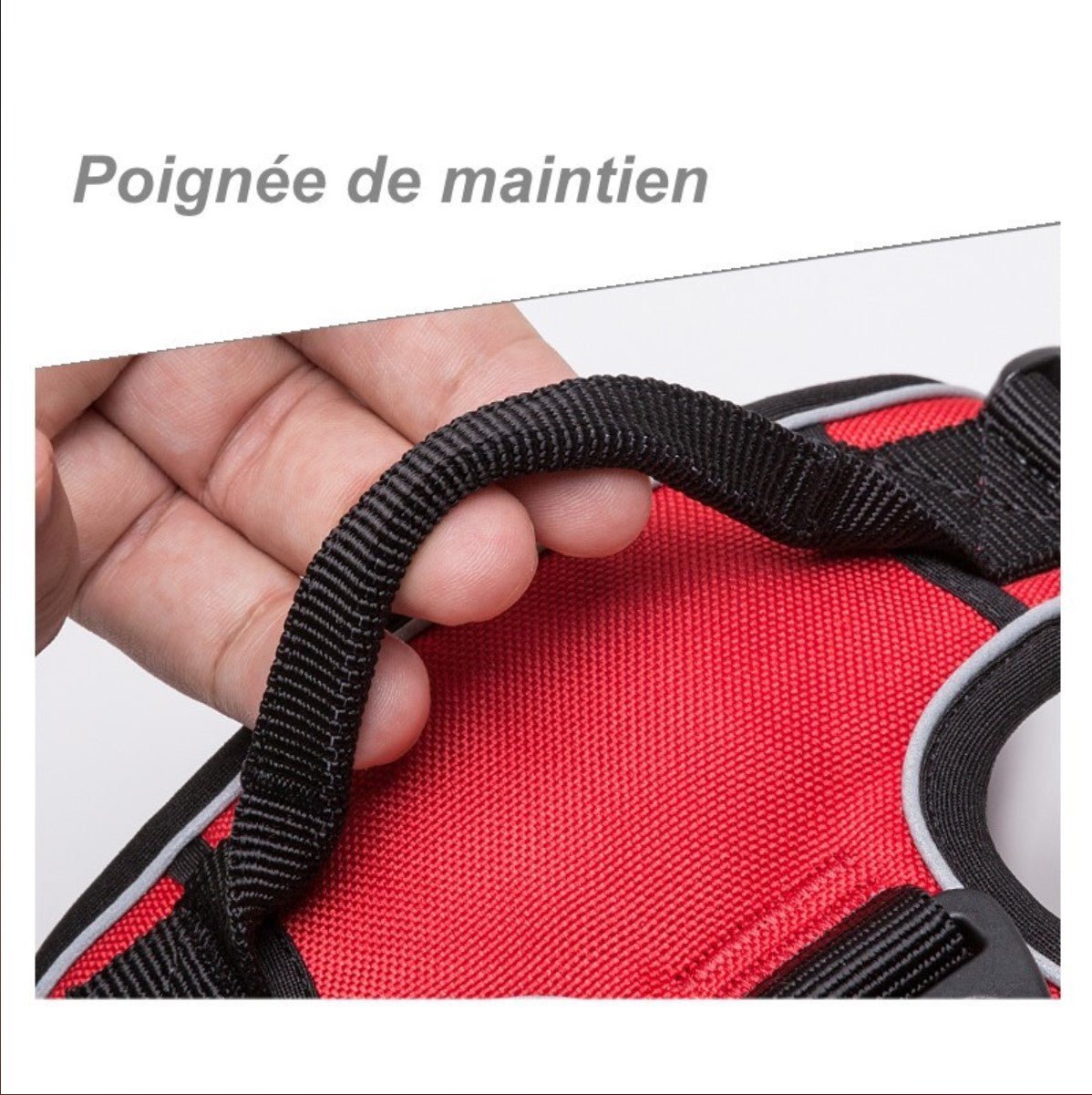 Harnais chien Truelove Country anti - traction | Duraflex - Mon chien content