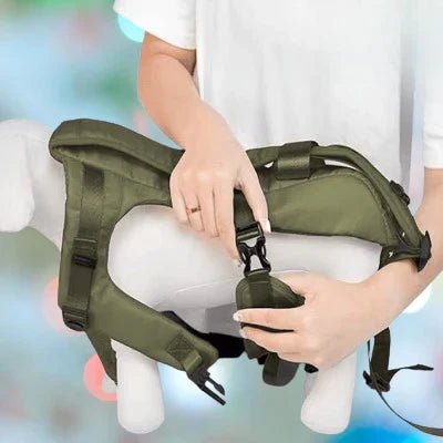 Sac à Dos pour Chien - PetCarrier™ - Vert - Mon chien content