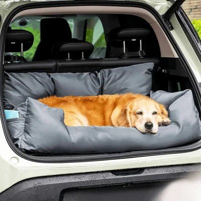 SIEGE AUTO POUR CHIEN - CarrierTravelDog™ - Gris - Mon chien content