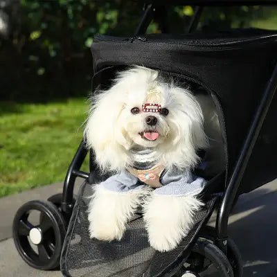 Poussette pour Chien - PetStroller™ - Noir - Mon chien content
