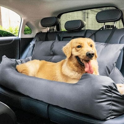 SIEGE AUTO POUR CHIEN - CarrierTravelDog™ - Gris - Mon chien content
