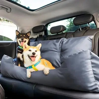 SIEGE AUTO POUR CHIEN - CarrierTravelDog™ - Gris - Mon chien content