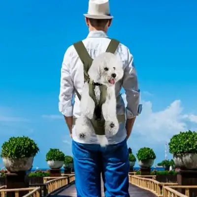Sac à Dos pour Chien - PetCarrier™ - Vert - Mon chien content