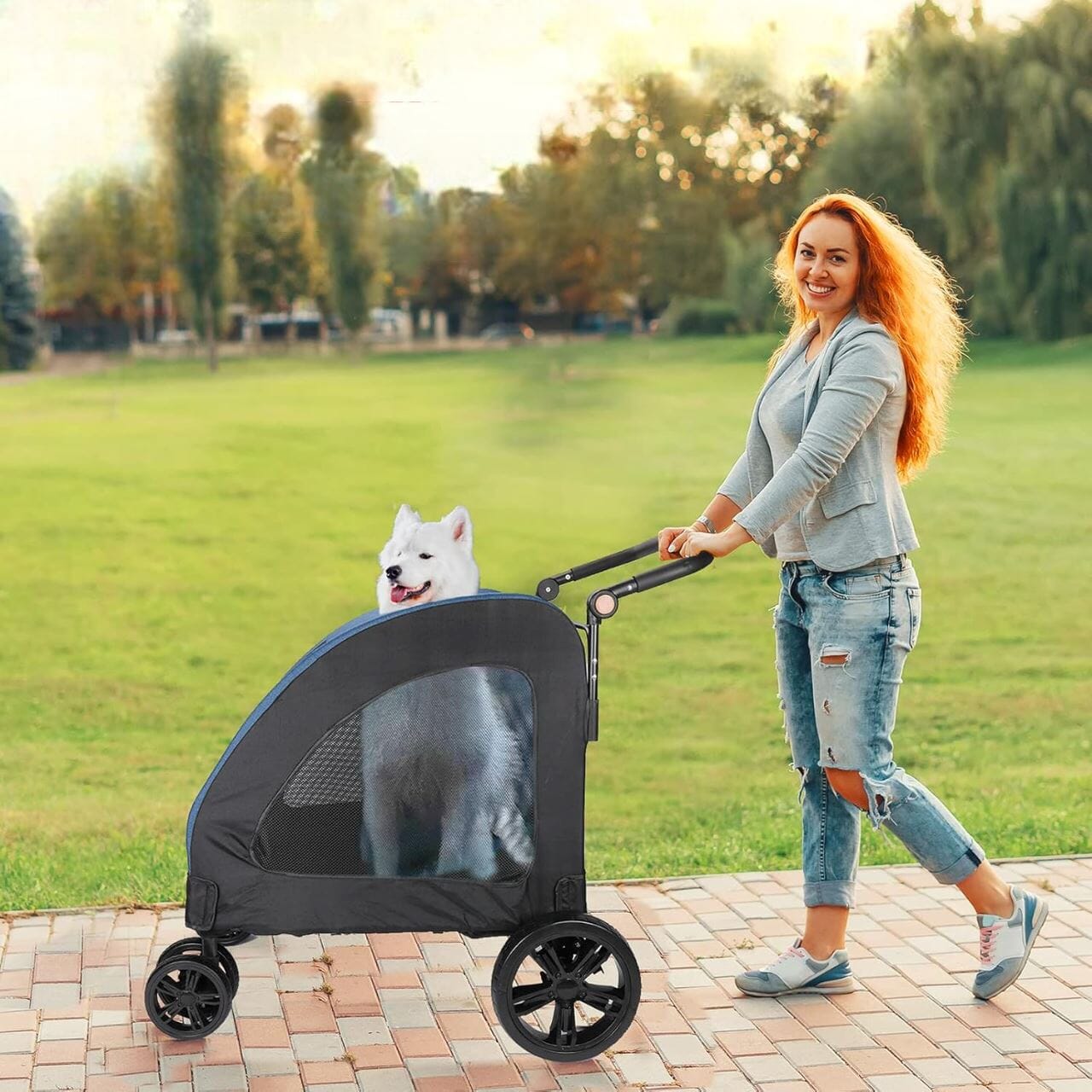 Poussette pour Chien - StrollyPet™ - Bleu - Mon chien content