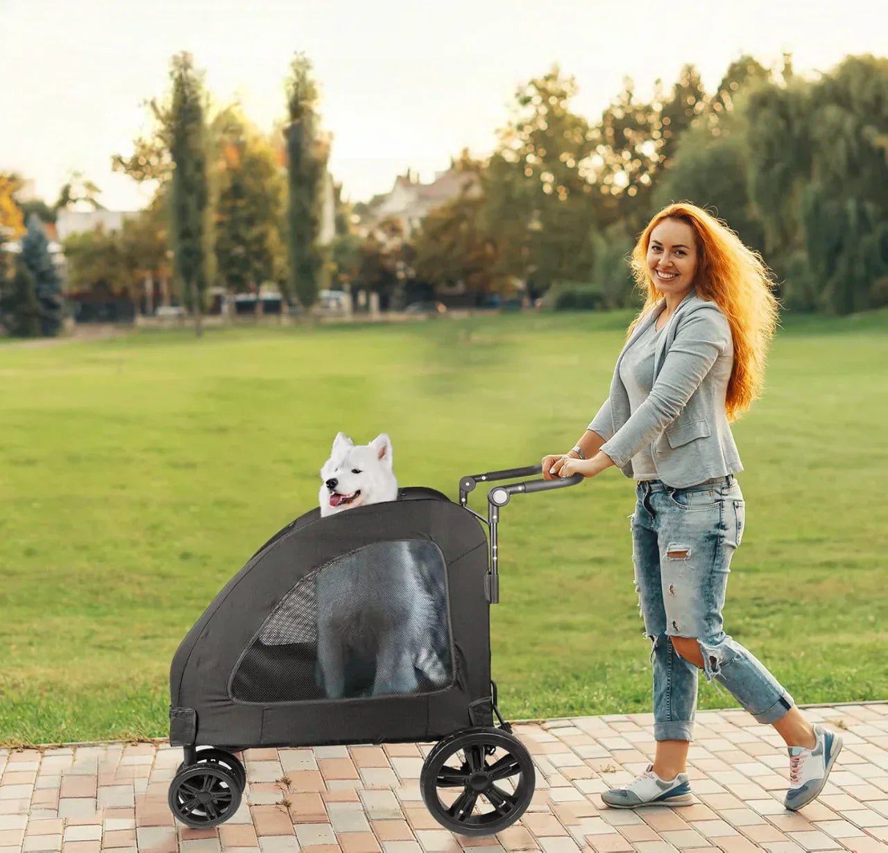 Poussette pour Chien - StrollyPet™ - Noir - Mon chien content