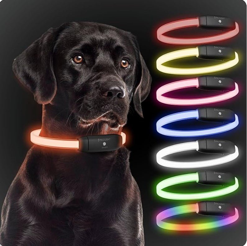 Collier Lumineux | NightSecure - Mon chien content