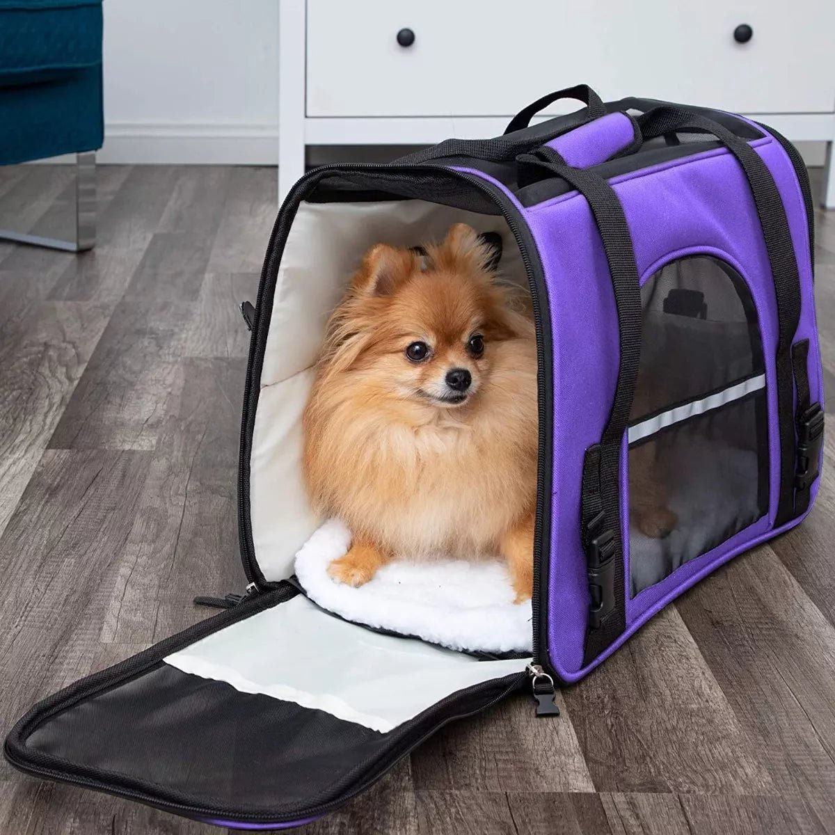 Sac de Transport pour Chien - DogCarrierBag™ - Violet - Mon chien content