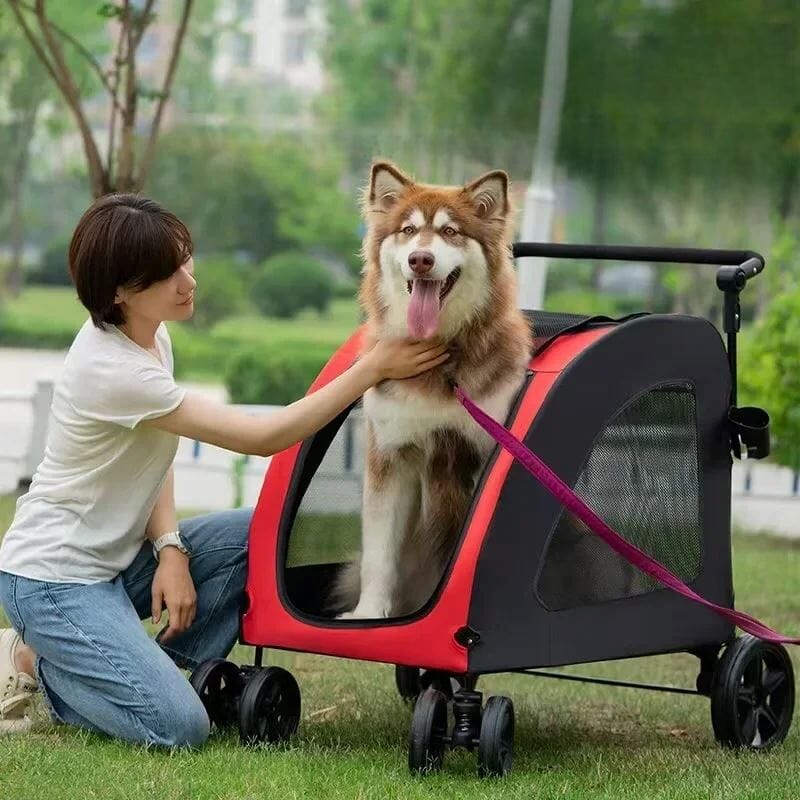 Poussette pour Chien - StrollyPet™ - Rouge - Mon chien content